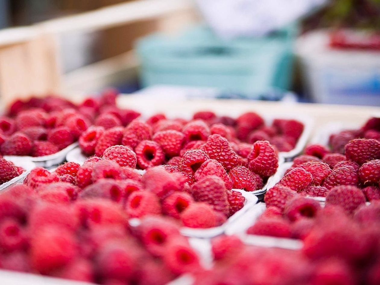 Entregas de frutas frescas cada semana