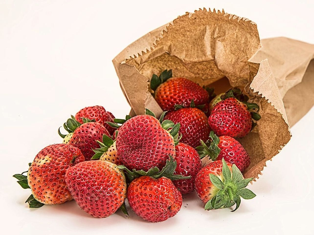 Moras silvestres